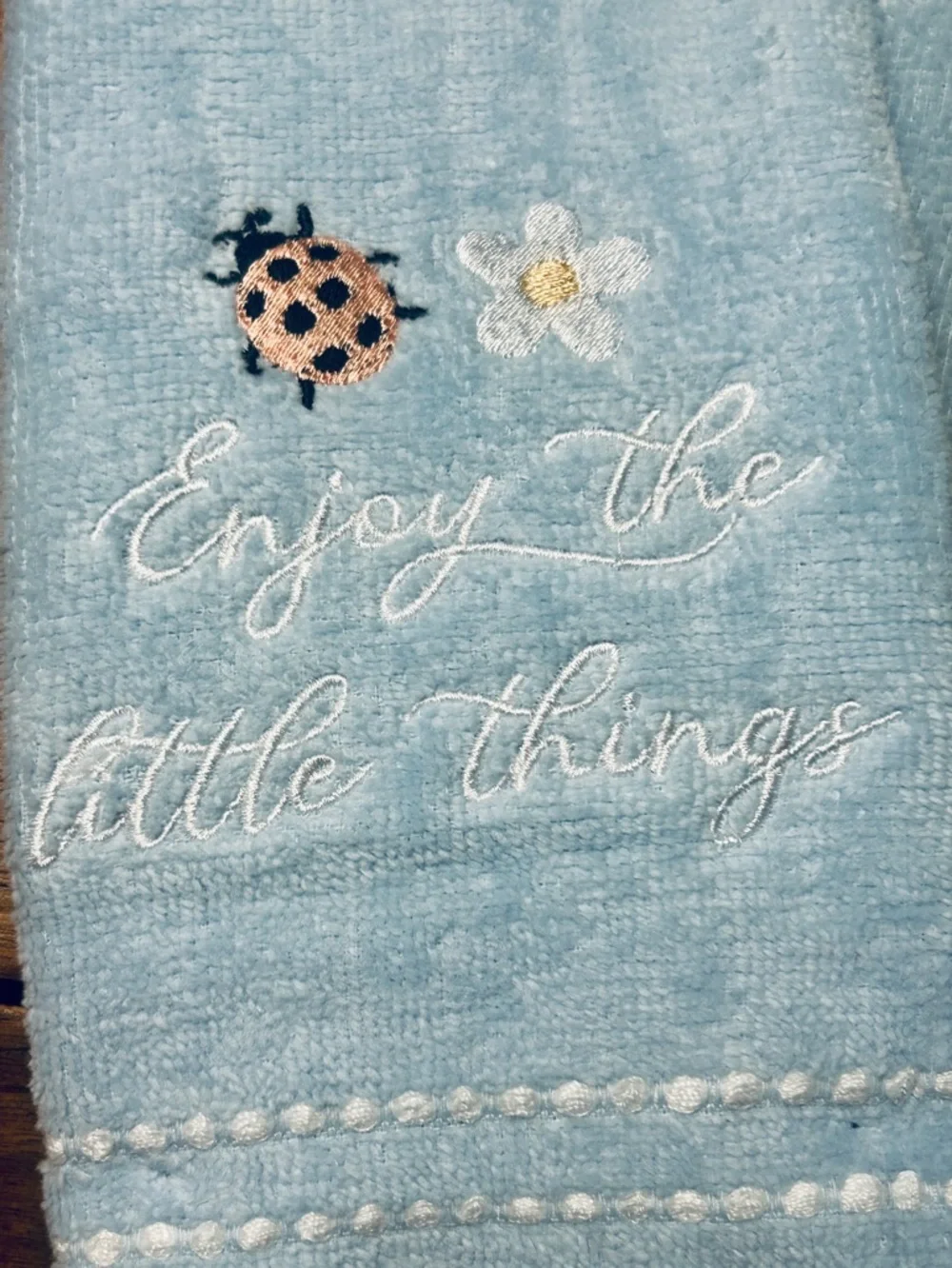 Plush Terry Finger Tip Hand Towel Lady Bug Little Things Daffodil Set of 2